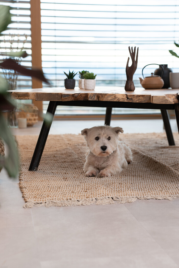 Virtuo Clem Around The Corner – tendință minimalistă