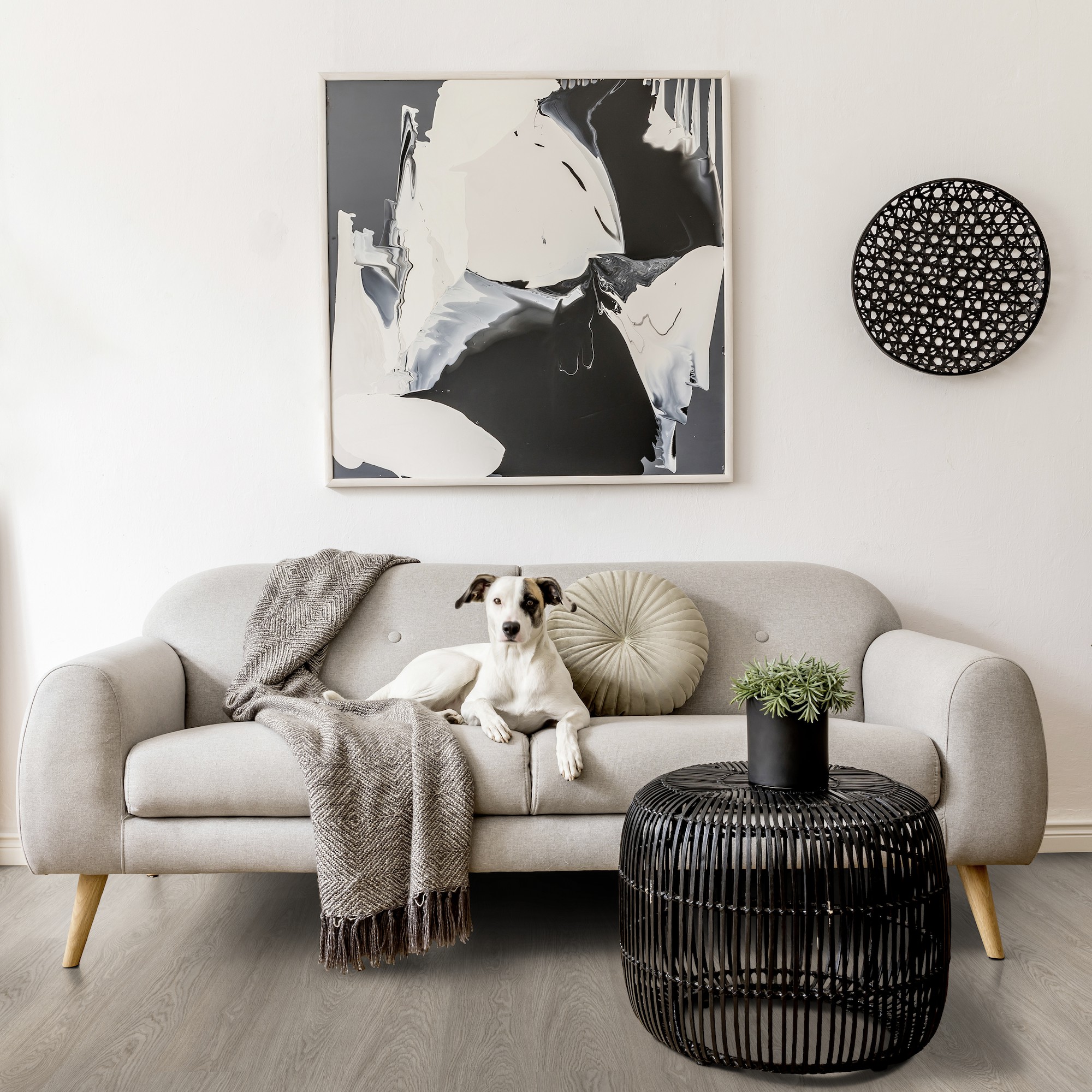 Living Greenland Grey