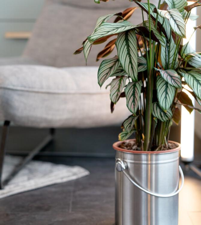 clem_around_the_corner_tendance_loft_industriel