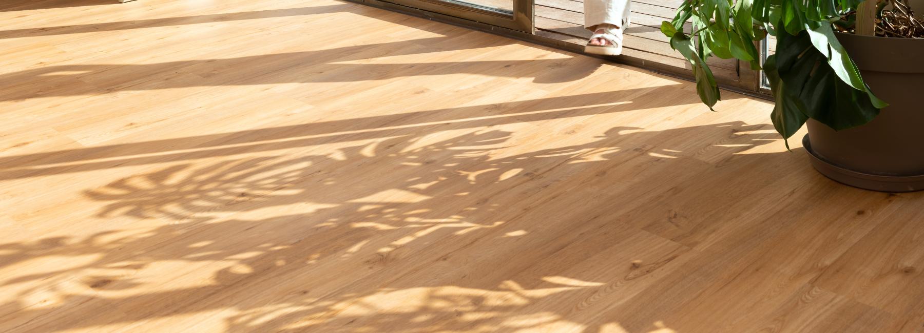 Columbia – sufragerie